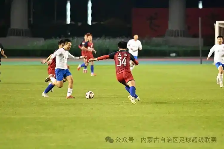 女性x裸体视频网站